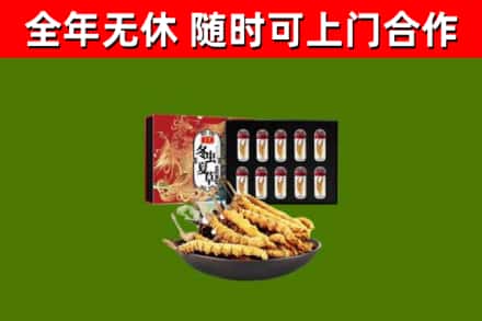 盐山县回收冬虫夏草价格